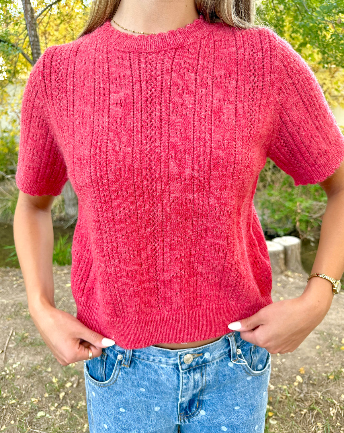 Josie Pointelle Knit Sweater Top