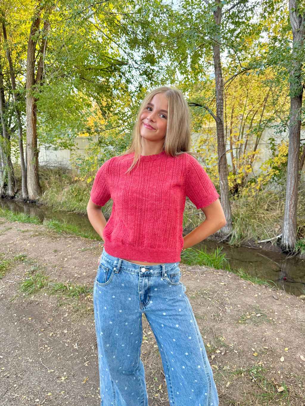 Josie Pointelle Knit Sweater Top
