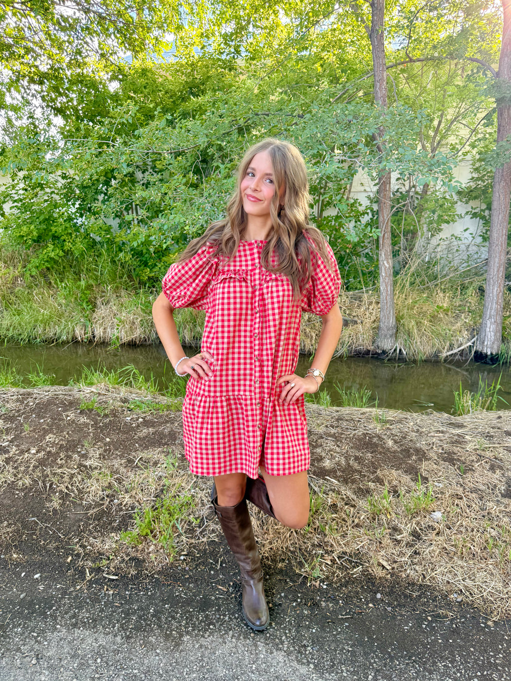 Andie Gingham Dress