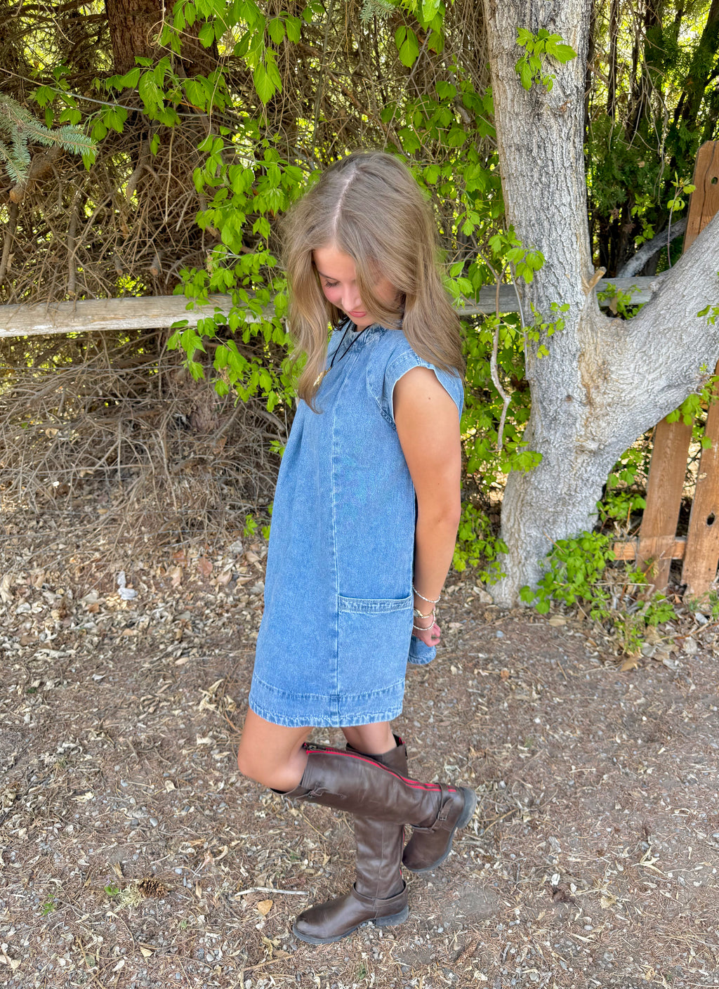 Kenley Denim Dress